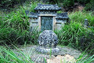 梦见上班的地方有坟墓，梦见有坟地