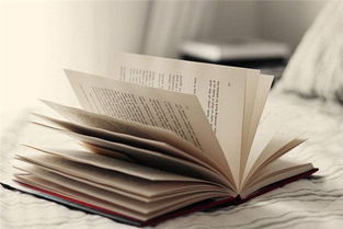 梦到书解梦，梦见书是什么意思?