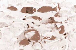 梦见田里好多大鱼是什么意思，梦见田里面很多大鱼