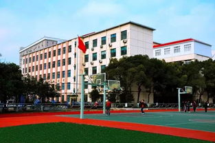 梦见学校选举什么意思，梦见选举的场面