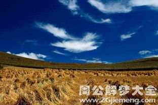 梦见怯场，梦见场面混乱是什么意思