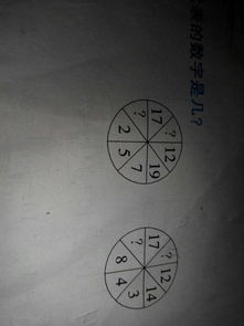 梦见清的水，昨晚梦见清水