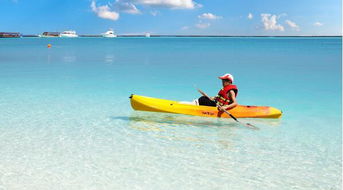 梦见自己在风浪里划船，梦见乘风破浪划船