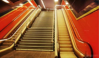 梦到坐电梯很多人，蒙见坐电梯