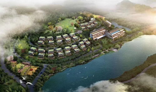 梦见山水田园，梦见田里好多山圩