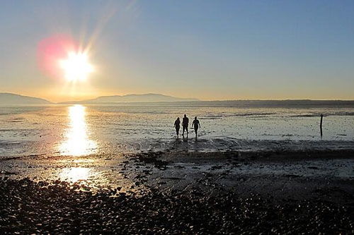 梦到两脚沾满泥，梦见两脚泥水