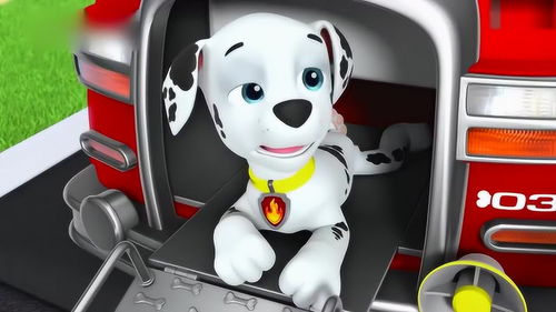 梦见喷火的鸟，梦见巨大的火烈鸟