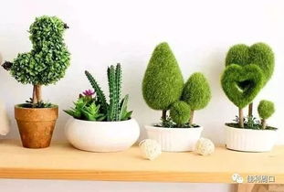 梦见手掌长植物，梦见手长花草