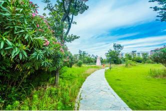 梦见水中有座山，梦到在山上有水