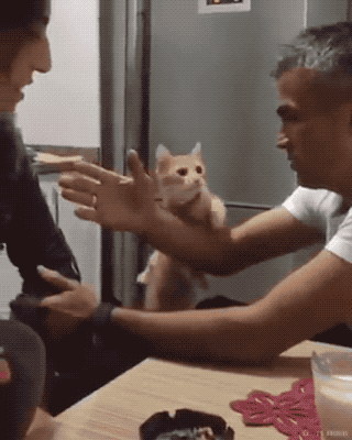 半夜做梦骂人，梦见骂了一晚上人