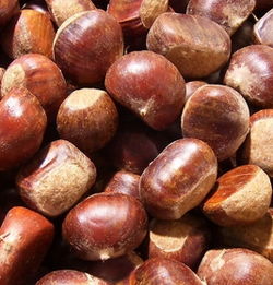 梦吃栗子意思，梦到吃栗子是好是坏