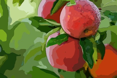 梦见树上长花好不好，梦见树上长