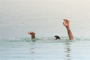 梦见掉水里被冲走了，梦见落水中