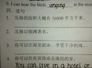 梦见英语不会写，梦见默写英语句子一个都不会