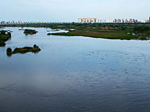 梦见大河是什么兆头，梦见大大河