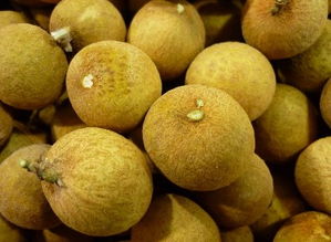 梦到吃桂圆吃到虫子，梦到吃桂圆预示着什么