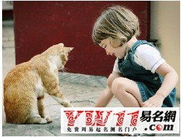 梦到给一只猫洗澡，梦见我给猫洗澡是什么预兆