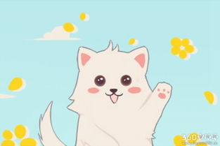 梦到好多小猫崽子，梦见几个小猫崽