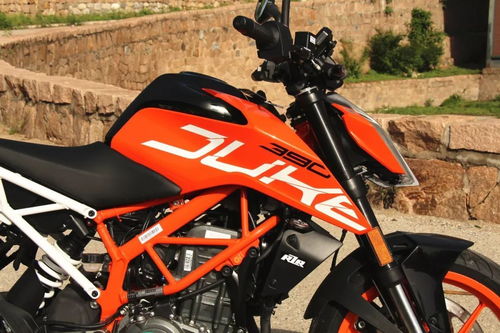 梦到骑马奔跑是什么意思，梦到骑自行车带人