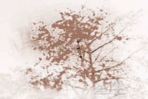 梦见天上有好多花朵,梦见天空出现一朵花