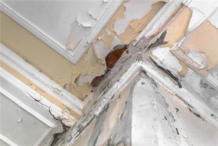 梦到家里抽水溢出，梦见从家里抽水出去是什么意思