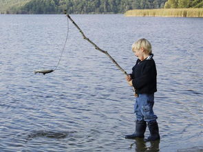 梦见看朋友钓鱼，梦见朋友钓了好多鱼我在看