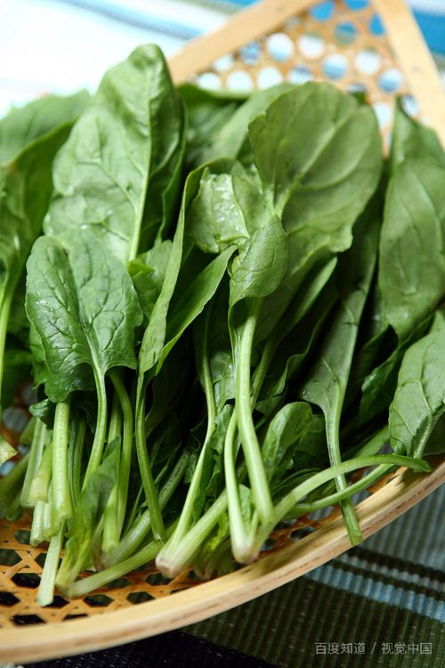 梦见别人家菜园结黄瓜，梦见别人家菜园子里结满果实