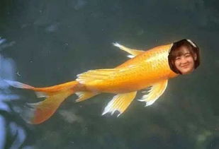 梦见手提一条鱼好吗，梦见手提大鱼是什么意思