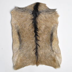 梦见羊皮袄,梦见羊把皮剥了好不好