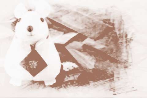 梦见很多儿童玩具车，梦见儿童车