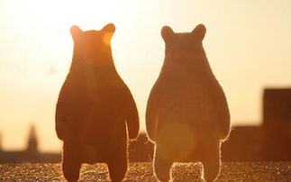 做梦梦到在山上走，做梦在山上走好不好