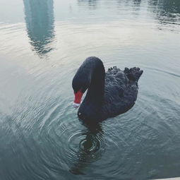 梦见一缸面粉什么意思，梦见水缸里有面条是什么意思