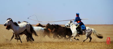 梦到放马把马丢了，梦见放马怎么回事