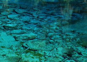 周公解释梦大全，周公、解梦