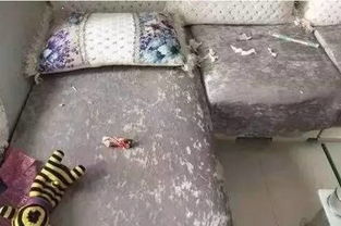 梦见盆子翻了，梦见打翻盘子