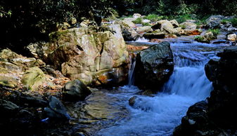 梦见小溪涨水是什么征兆，梦见溪水涨起来了