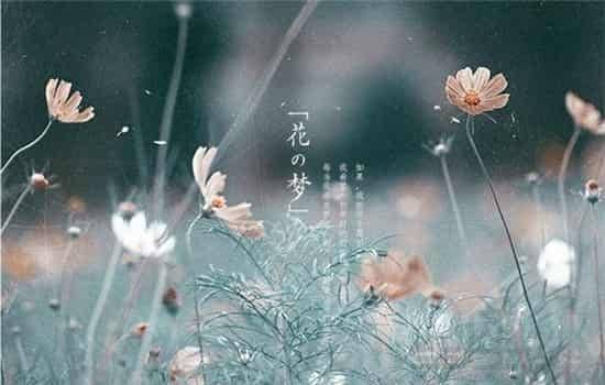 梦到亲人修坟怎么回事，梦见自家人修房子