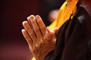 梦见自已念佛，梦到念佛人