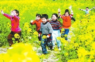 梦见春游记是什么生肖，梦见春游被落下