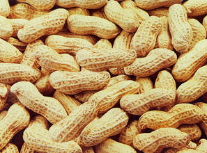 做梦梦到摘花生，梦到摘花生吃是什么意思