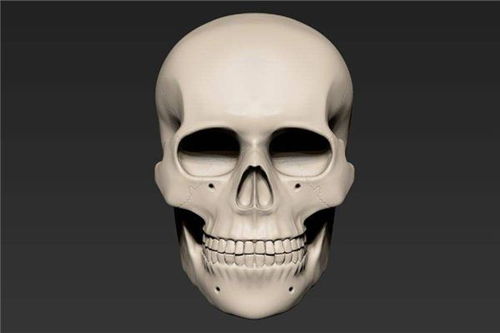 梦见买了一个人头，梦到买头饰好不好