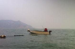 梦见船上有好多鱼，梦见船中有鱼