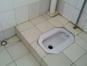 梦见洗手间喷屎