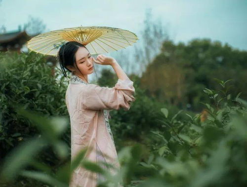 梦见刮地上的水，梦见地上有水自己摔了一跤