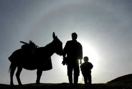 梦见爸爸追我我拼命跑和躲藏，梦见被自己爸爸追