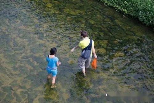 梦见去山里洗衣服,梦见自己在田里洗衣服