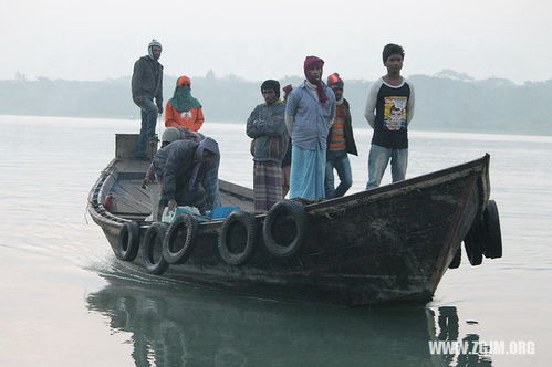梦见在山上抓甲鱼，梦里抓到了甲鱼