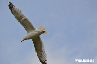 梦到考上心仪的高中,梦到炕上长草