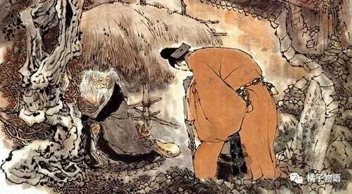 九根香代表什么,九根香啥意思