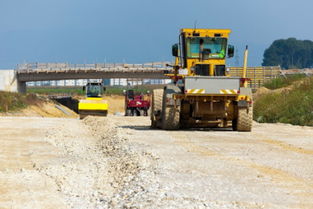 梦见伐树修路是什么意思,梦见砍树修路是什么意思